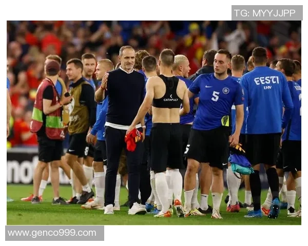 爱沙尼亚与白俄罗斯比赛分析是否存在让球情况探讨